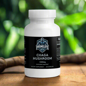 Chaga Mushroom